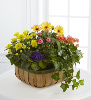 The FTD® Gentle Blossoms™ Basket