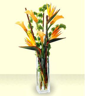 The FTD® Tropicala™ Bouquet