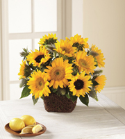 FTD Perfect Sun Bouquet