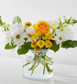 Sun Salutation Bouquet