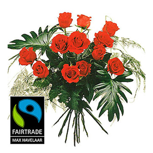 12 Red Max Havelaar-Roses Medium Stem with Green