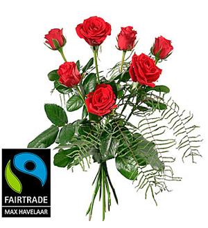 7 Red Max Havelaar-Roses Short Stemmed with Green