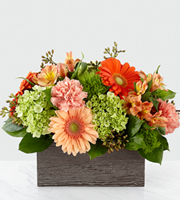 The FTD® Hello, Gorgeous™ Bouquet