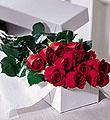 The FTD® One Dozen Boxed Roses