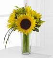Le bouquet Sunshine Daydream™ de FTD® 