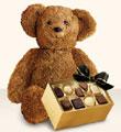 Bear with Chocolates