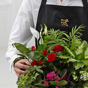 FTD Florist Designed Blooming and Green Plants in a Basket