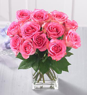 1 Dozen Medium Stem Pink Roses - Wrapped