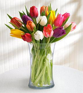 15 Stem Mixed Tulips with Glass Vase