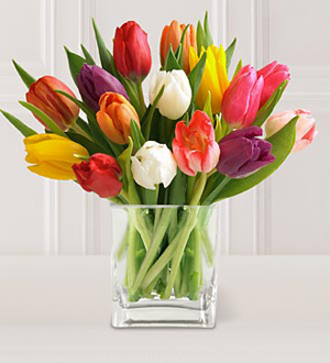 Quinze tulipes de couleurs variées dans un vase en verre