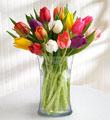 20 Stem Mixed Tulip Bouquet with Glass Vase