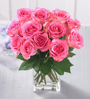 1 Dozen Medium Stem Pink Roses - with Vase