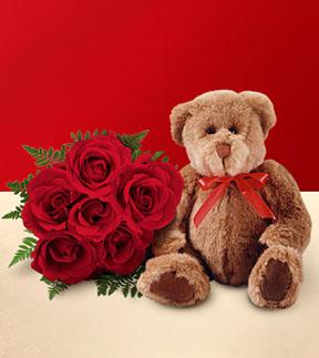 1/2 Dozen Red Roses and Bear - wrapped
