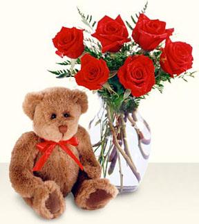1/2 Dozen Red Roses with Vase and Bear