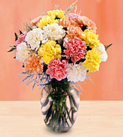Bouquet d'oeillets avec vase
