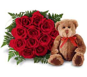 1 Dozen Red Roses with Bear and Vase