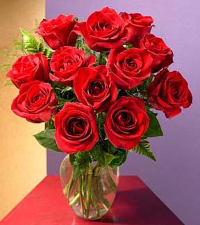 Una docena de rosa roja de tallo mediano con base
