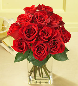 1 Dozen Red Medium Stem Roses - with Vase