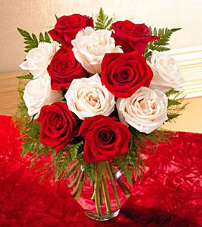 1 Dozen Favorite Red and White Roses with Vase