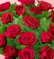 Ramo de 18 rosas rojas de tallo mediano FTD® Envuelto