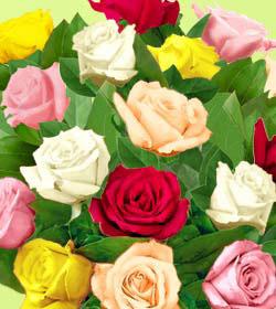 The FTD® 18 Mixed Medium Stem Rose Bouquet - Wrapped