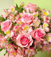 Bouquet Pays des rêves en rose  - Enveloppé