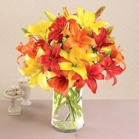 California Sunshine Mixed Asiatic Lilies with Vase