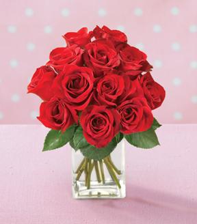 Bouquet de roses rouges avec vase GRATUIT