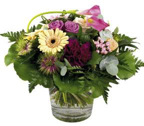 Bouquet de fleurs coupées mélangées sans vase
