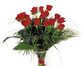 Bouquet de roses rouges, sans vase