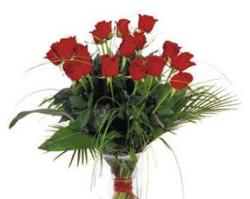 Bouquet of Red Roses, no vase