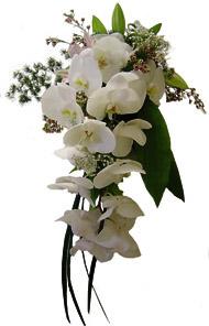 Bouquet de fleurs coupées mélangées