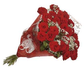 Bouquet de roses rouges, sans vase