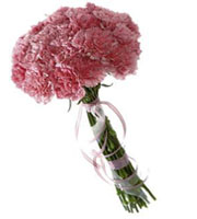 Bouquet of Carnations