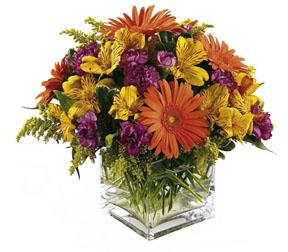 The FTD® Wonderful Wishes™ Bouquet