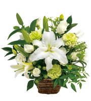 Funeral Arrangement in White and Green