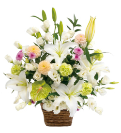 Large Sympathy Arrangement in White with Some Pastel Colors