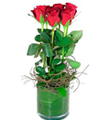 6 Red Roses in Vase