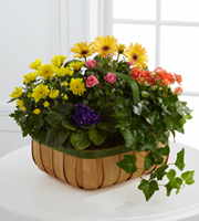 The FTD® Gentle Blossoms™ Basket