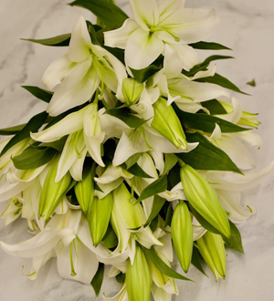 Lovely Lilly Bouquet 
