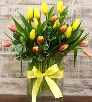 Modern Tulips Yellow/Orange 