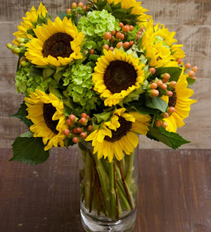 Sunflower Grande
