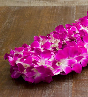 Double Orchid Lei 