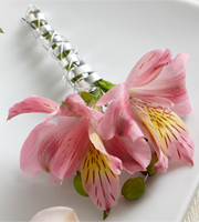 The FTD® Pink Peruvian Lily Boutonniere