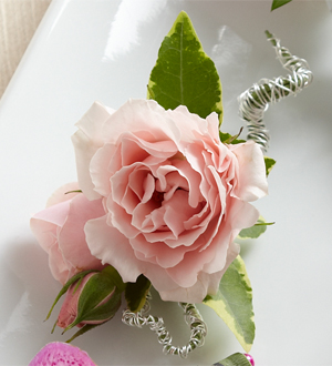 The FTD® Pink Spray Rose Boutonniere