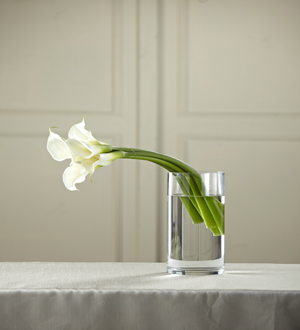 The FTD® White Calla Bouquet