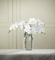 The FTD® White Phalaenopsis Bouquet