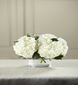 The FTD White Hydrangea Bouquet