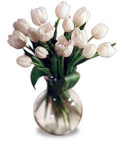 Ramo de tulipanes blancos