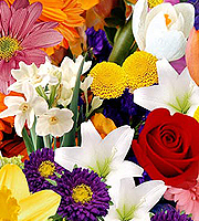 Le bouquet emballé Création du fleuriste de FTD®